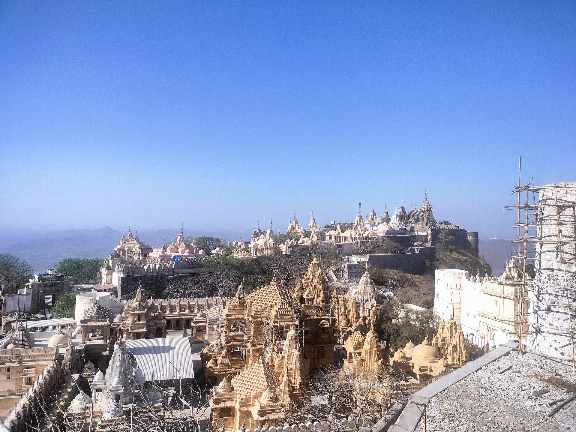 The marble temple spires of Palitana rising on Shatrunjaya hill, Gujarat